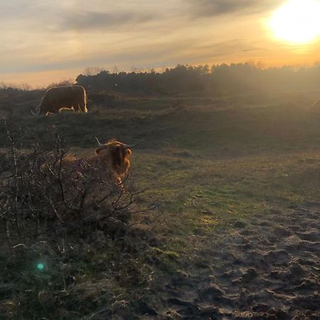 Villa De Bosrand Grenzend Aan Het Bos à Castricum Extérieur photo