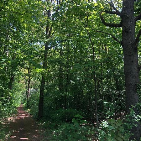Villa De Bosrand Grenzend Aan Het Bos à Castricum Extérieur photo