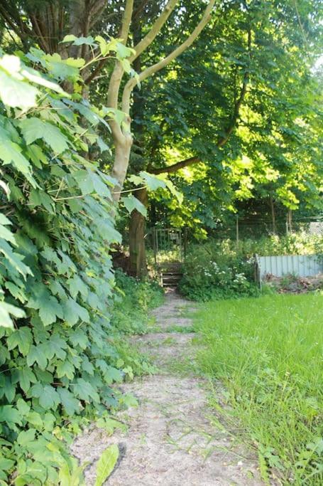 Villa De Bosrand Grenzend Aan Het Bos à Castricum Extérieur photo