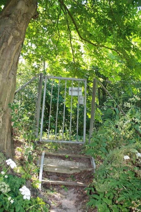 Villa De Bosrand Grenzend Aan Het Bos à Castricum Extérieur photo